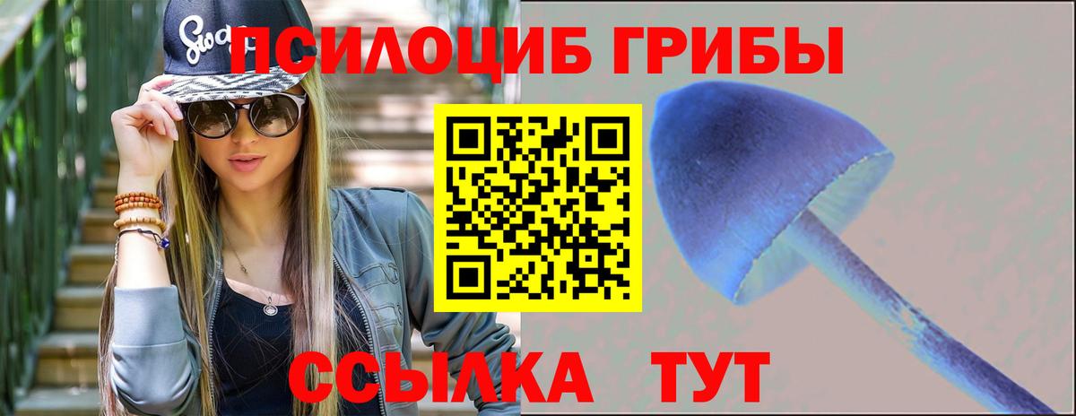 Дятьково  даркнет сайт  Галлюциногенные грибы мицелий  Вход с VPN  Псилоцибиновые грибы ЛСД 